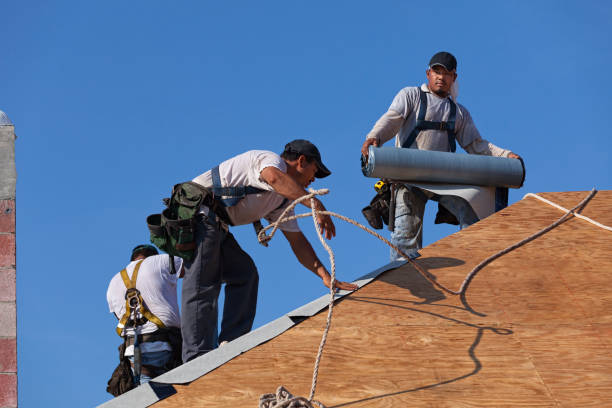 Best Roof Maintenance Services  in Monteagle, TN
