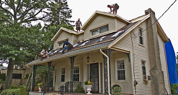 Best Storm Damage Roof Repair  in Monteagle, TN